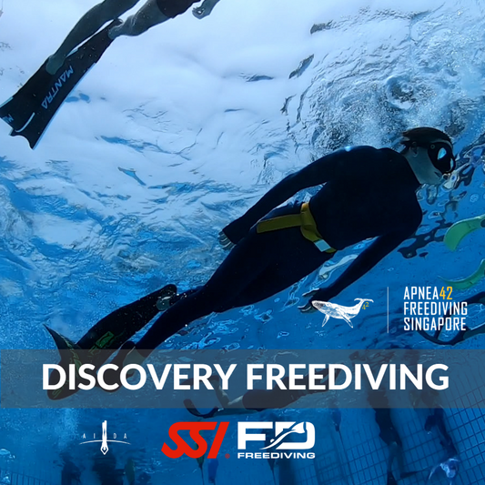 Discovery Freediving