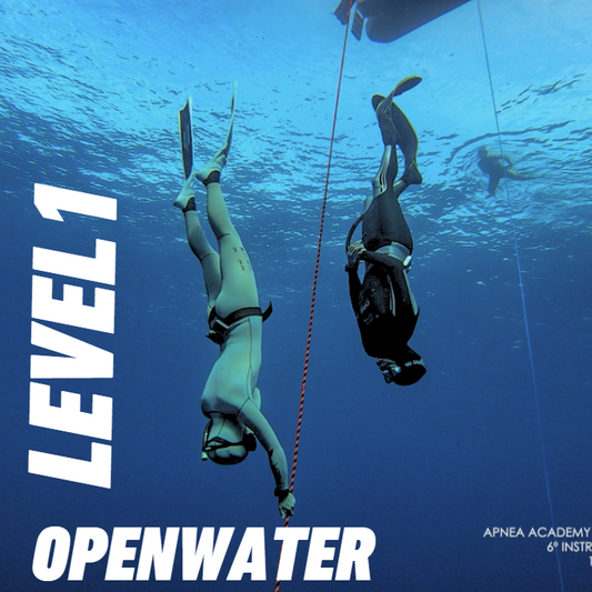 Open Water Component - Level 1 Course