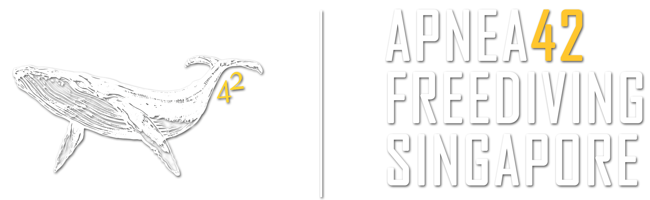 Apnea42 Freediving