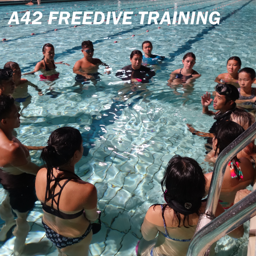 Pool Training Packages