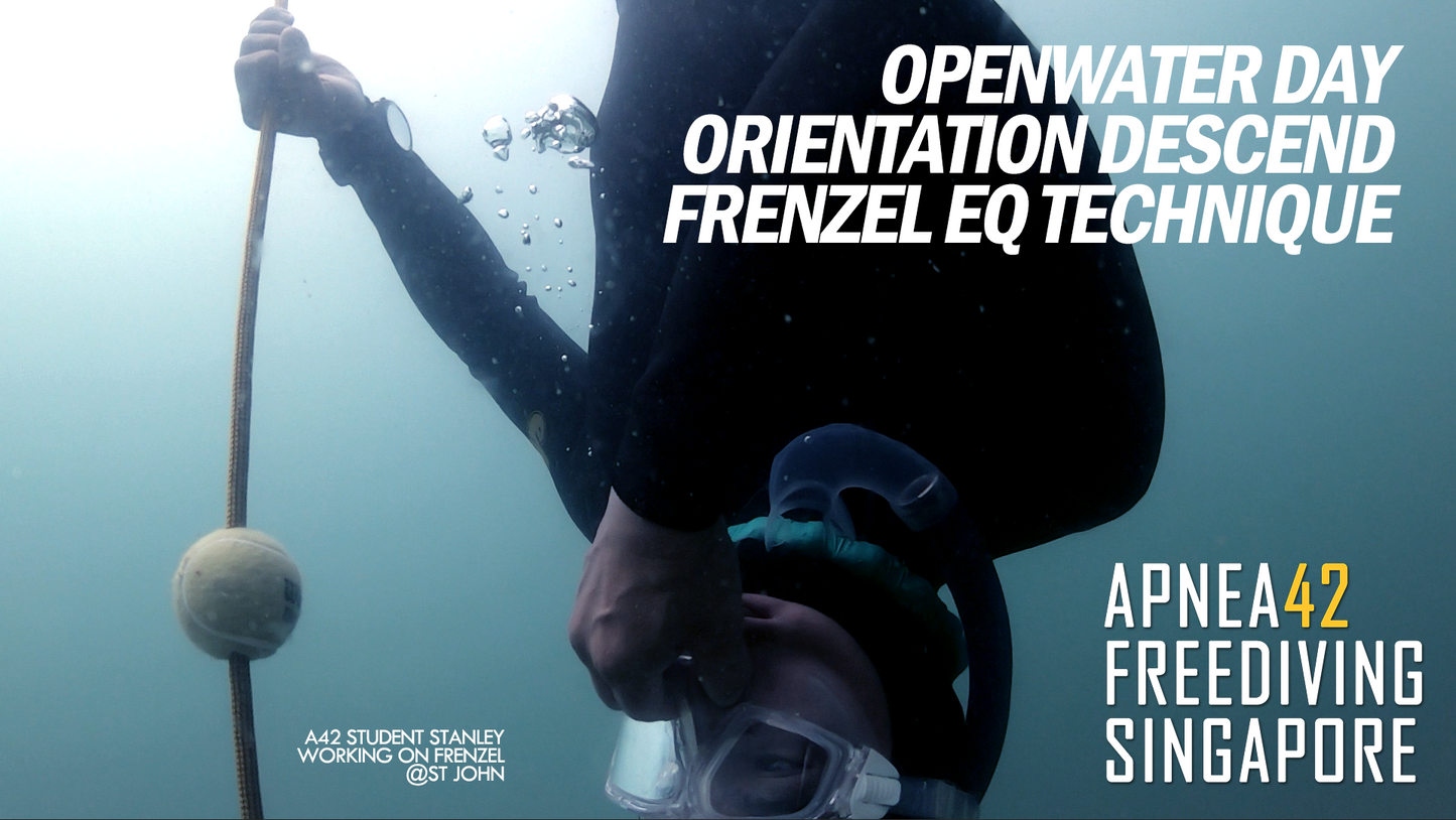 Open Water Component - Level 1 Course