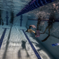 Pool Training Packages