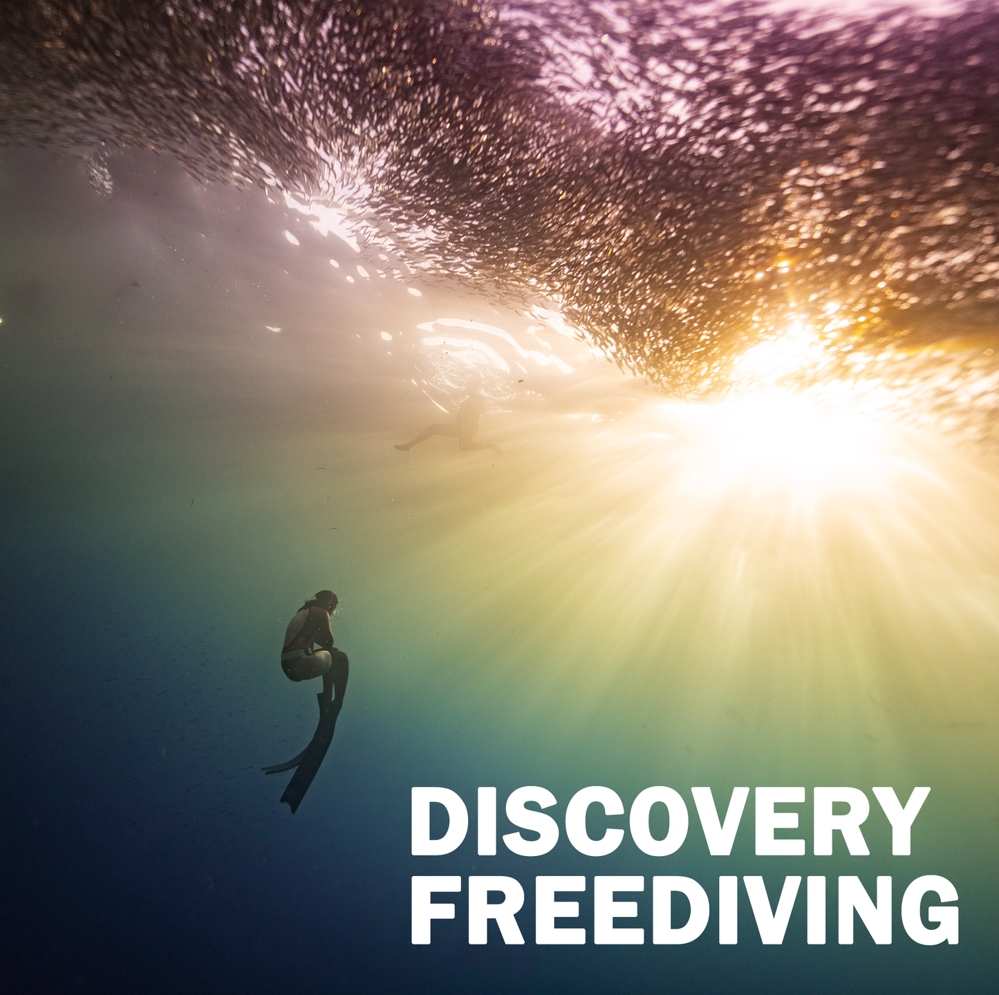 Discovery Freediving
