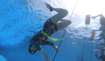 Discovery Freediving